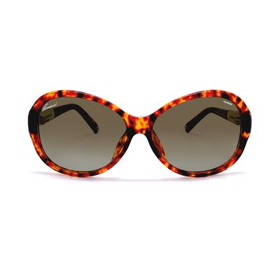 GUCCI 3684/FS WR9LA Sunglasses
