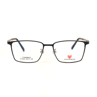 DIVANCHI IVANNO OT3020 C52 Titanium Eyeglasses